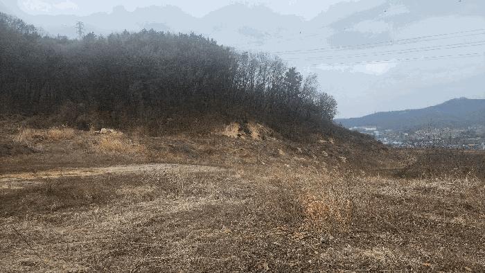 충청남도 아산시 음봉면 동암리 336 답 경매 사진 18