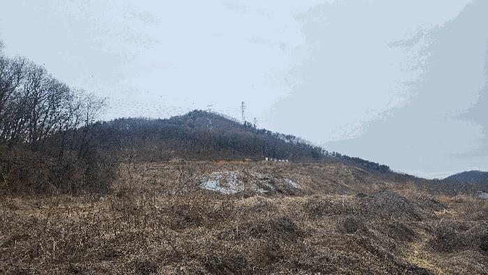 충청남도 아산시 음봉면 동암리 336 답 경매 사진 20