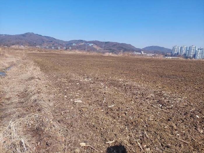 충청남도 아산시 음봉면 동암리 336 답 경매 사진 41