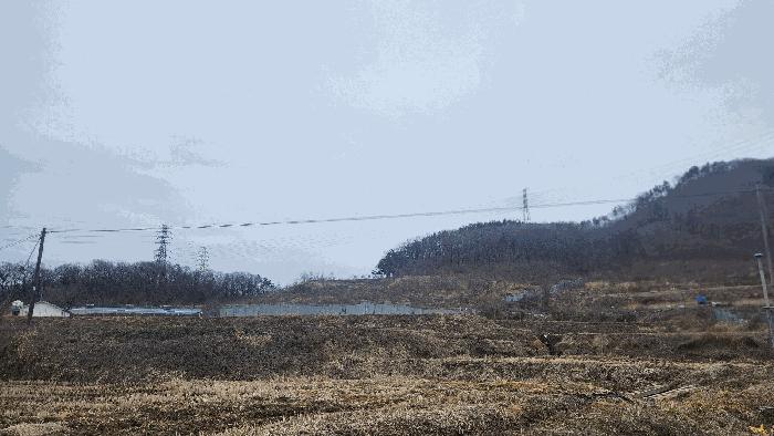 충청남도 아산시 음봉면 동암리 336 답 경매 사진 5