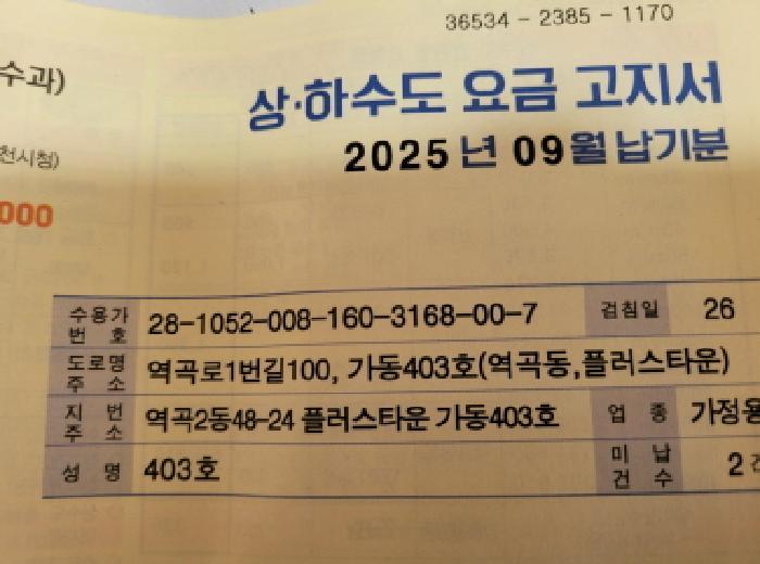 경기도 부천시 원미구 역곡동 48-24 플러스타운 가동 4층403호 다세대(빌라) 경매 사진 8