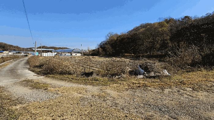 세종특별자치시 연기면 수산리 60-1 전 경매 사진 10