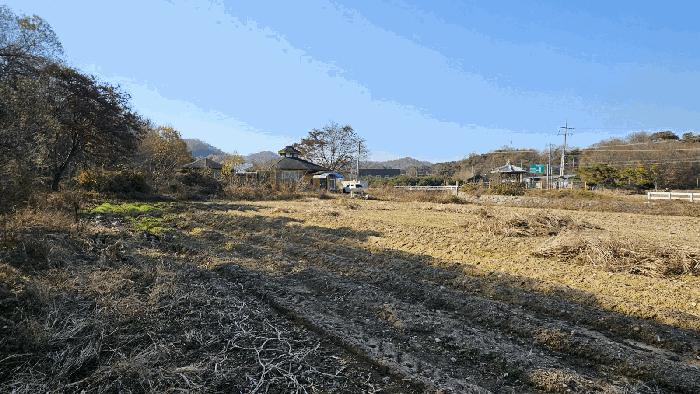 세종특별자치시 연기면 수산리 60-1 전 경매 사진 11