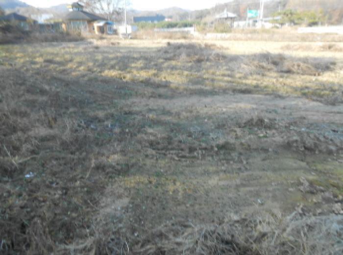 세종특별자치시 연기면 수산리 60-1 전 경매 사진 20