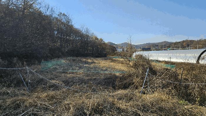 세종특별자치시 연기면 수산리 60-1 전 경매 사진 3