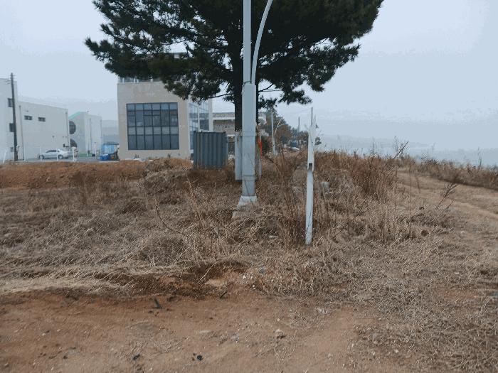경기도 안산시 단원구 대부남동 559-170 전 경매 사진 2