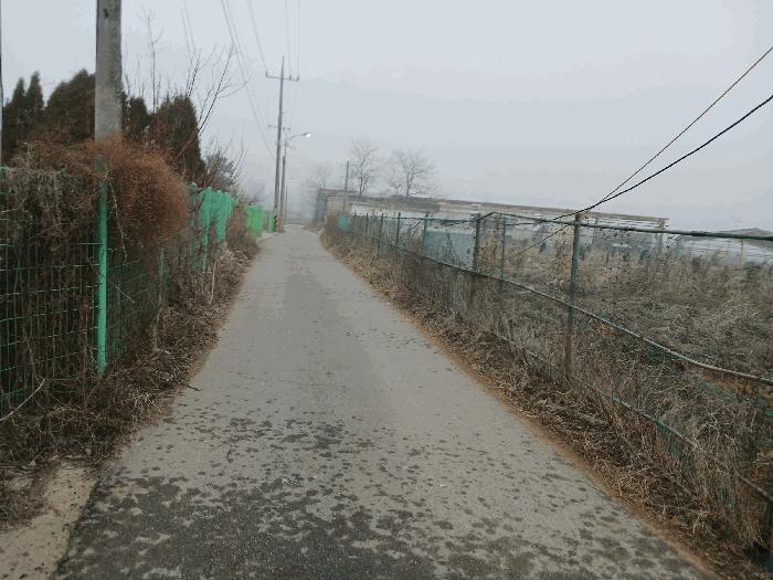 경기도 안산시 단원구 대부남동 559-170 전 경매 사진 6