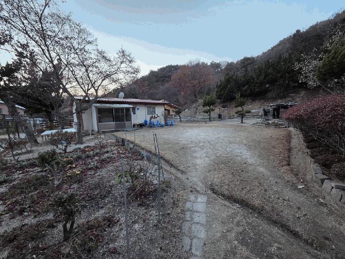 대전광역시 동구 이사동 1-14 주택 경매 사진 3