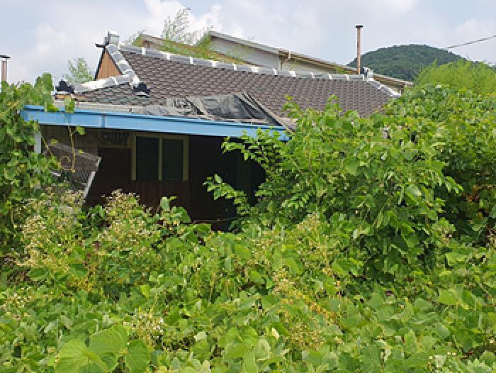 경상남도 김해시 진영읍 내룡리 189 대지 경매 사진 27
