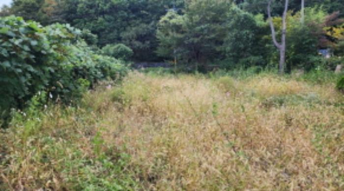 울산광역시 울주군 상북면 덕현리 621-1 전 경매 사진 16