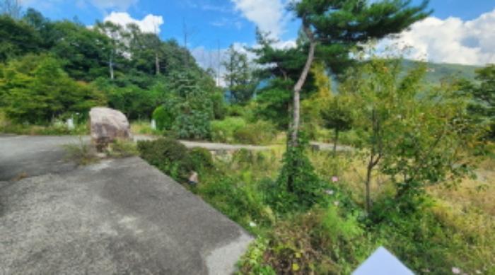 울산광역시 울주군 상북면 덕현리 621-1 전 경매 사진 8