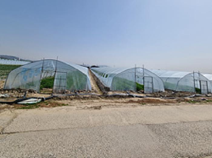 경상남도 창원시 의창구 대산면 일동리 749 답 경매 사진 7