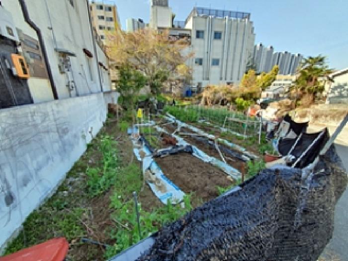경상남도 창원시 진해구 풍호동 816-1 대지 경매 사진 8