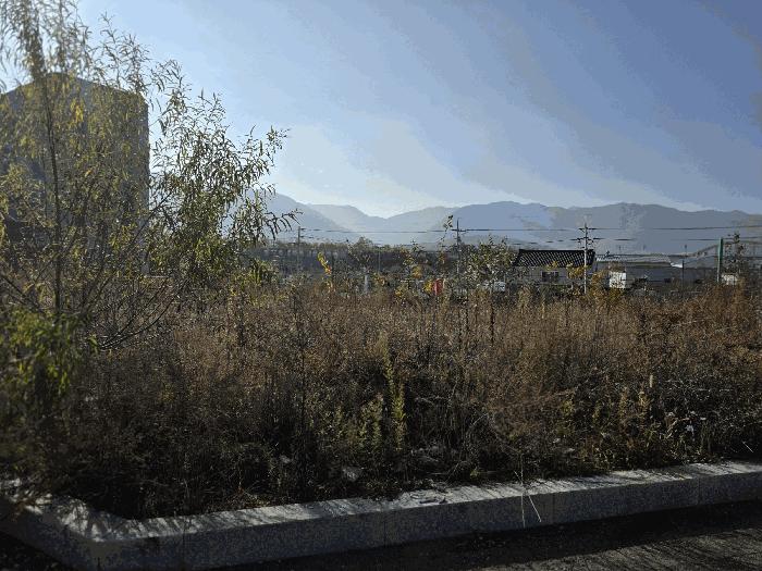 경상남도 김해시 진례면 산본리 1172 대지 경매 사진 12