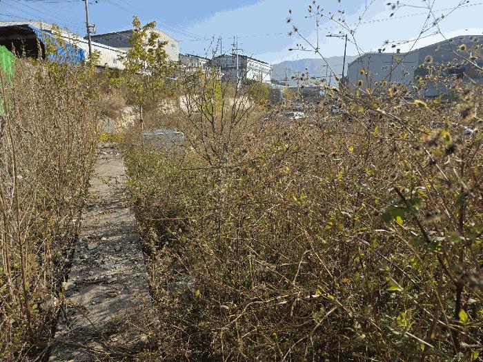 경상남도 김해시 진례면 산본리 1174 대지 경매 사진 14