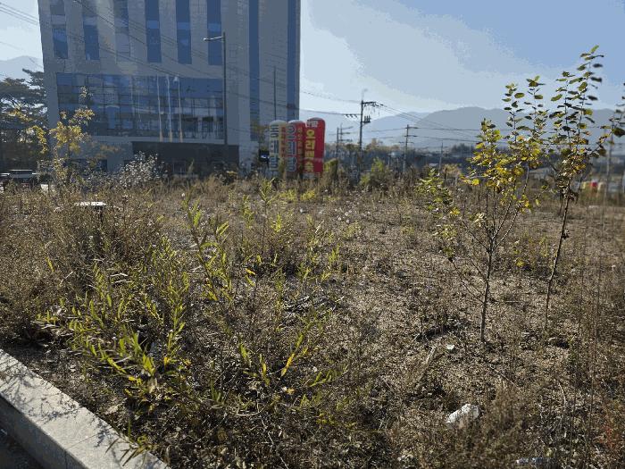 경상남도 김해시 진례면 산본리 1176 대지 경매 사진 11
