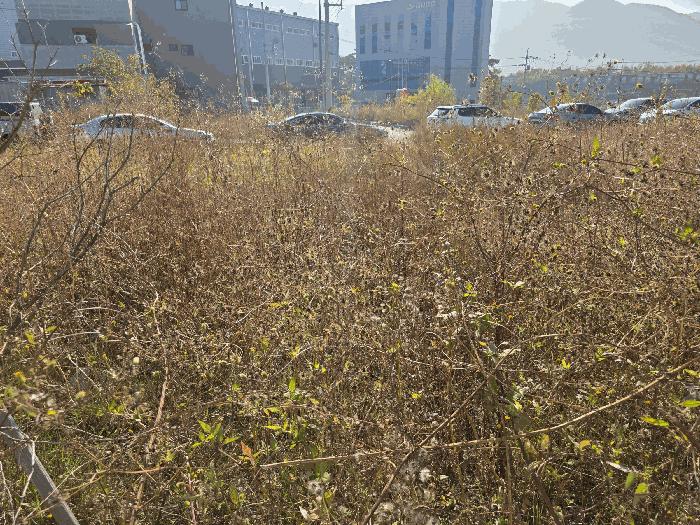경상남도 김해시 진례면 산본리 1176 대지 경매 사진 6