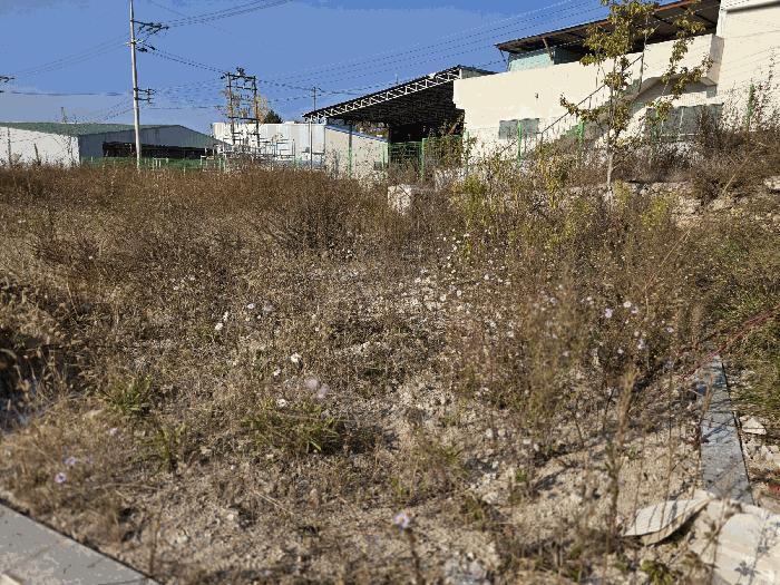 경상남도 김해시 진례면 산본리 1181-1 대지 경매 사진 7