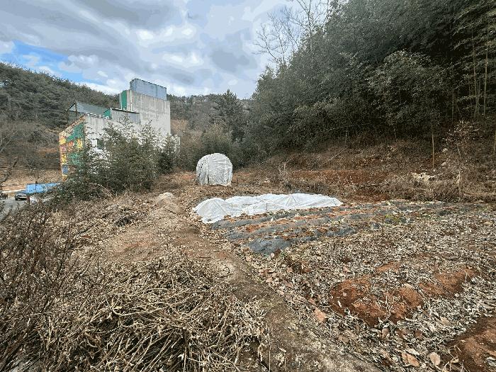 경상남도 창원시 의창구 북면 월촌리 246 전 경매 사진 2