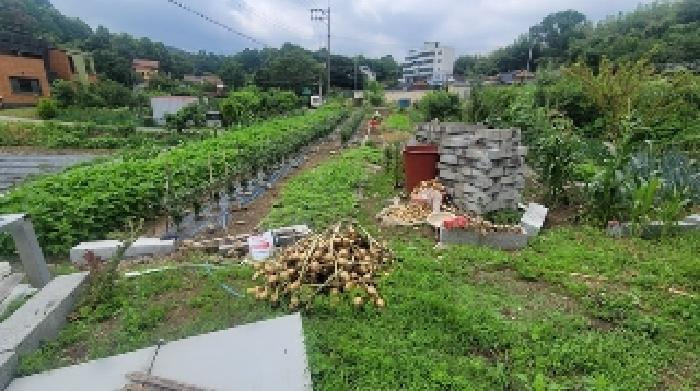 경상남도 함안군 산인면 송정리 416-1 주택 경매 사진 12