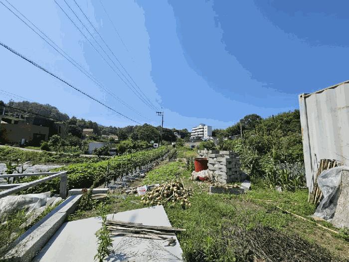 경상남도 함안군 산인면 송정리 416-4 답 경매 사진 8