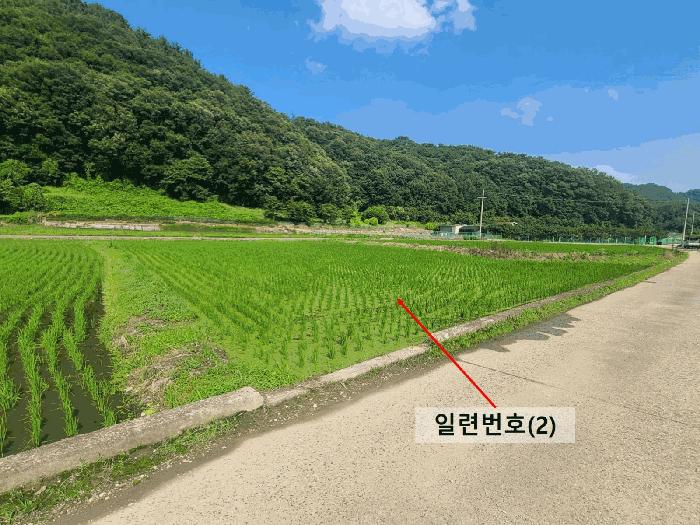 경상남도 함안군 함안면 봉성리 1079-1 답 경매 사진 1