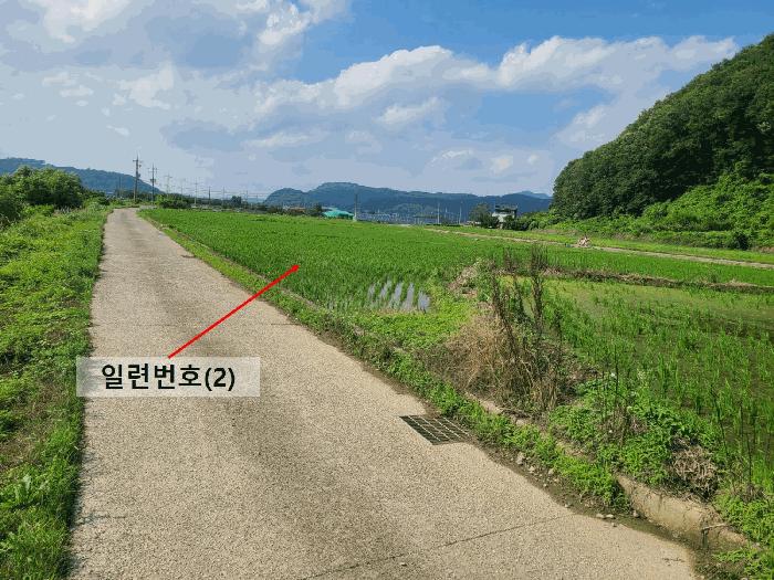 경상남도 함안군 함안면 봉성리 1079-1 답 경매 사진 2