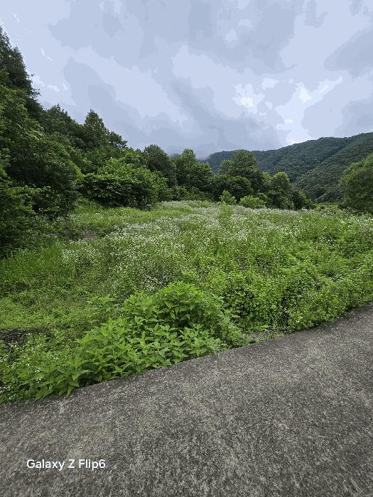 경상남도 창원시 마산회원구 내서읍 안성리 389 답 경매 사진 3