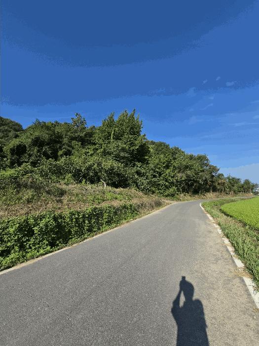 경상남도 함안군 함안면 북촌리 산115 임야 경매 사진 3