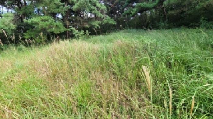 경상남도 함안군 군북면 유현리 400 전 경매 사진 16