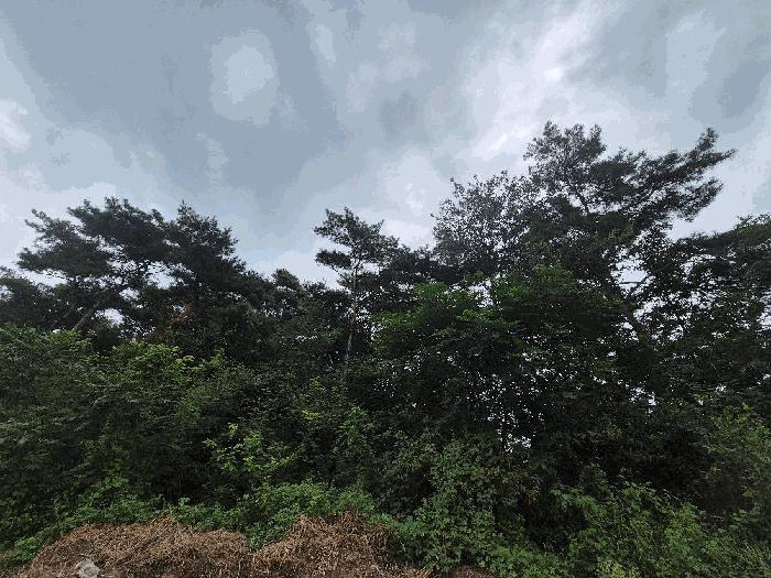 경상남도 함안군 군북면 유현리 400 전 경매 사진 2