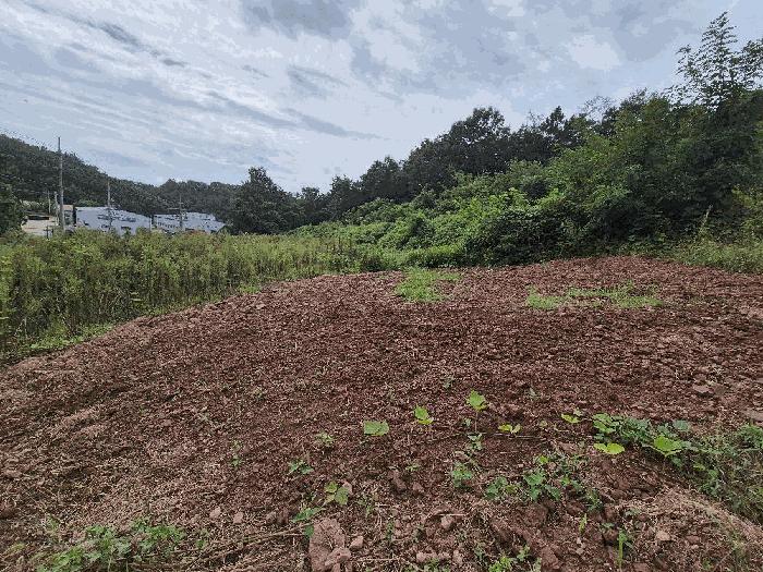경상남도 함안군 군북면 유현리 400 전 경매 사진 8