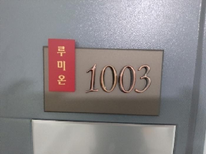 서울특별시 강서구 염창동 261-16 루미온 제101동 제10층 제1003호 오피스텔 경매 사진 13