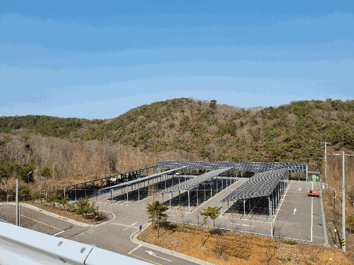 인천광역시 옹진군 영흥면 내리 산336-1 임야 경매 사진 2