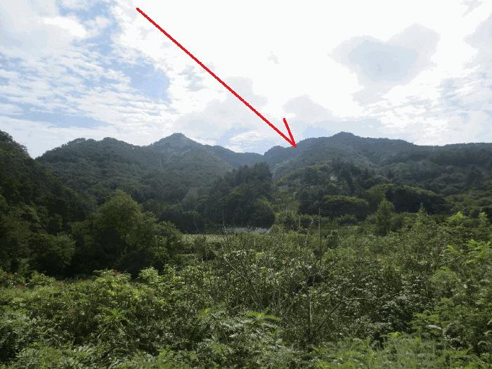강원특별자치도 홍천군 남면 양덕원리 산18 임야 경매 사진 2
