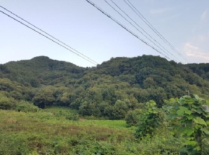 강원특별자치도 홍천군 남면 양덕원리 산18 임야 경매 사진 3