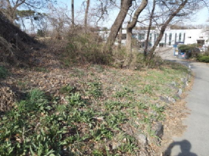 경기도 평택시 오성면 양교리 658-1 공장 경매 사진 13