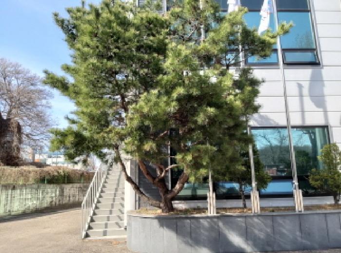 경기도 평택시 오성면 양교리 658-1 공장 경매 사진 24
