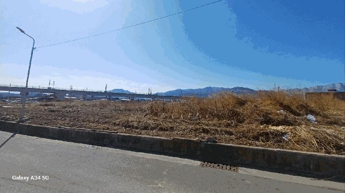 경상북도 영주시 풍기읍 동부리 305-3 과수원 경매 사진 4