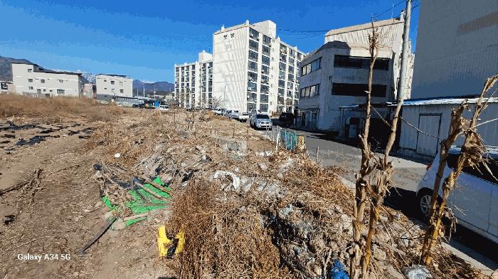 경상북도 영주시 풍기읍 동부리 305-3 과수원 경매 사진 7