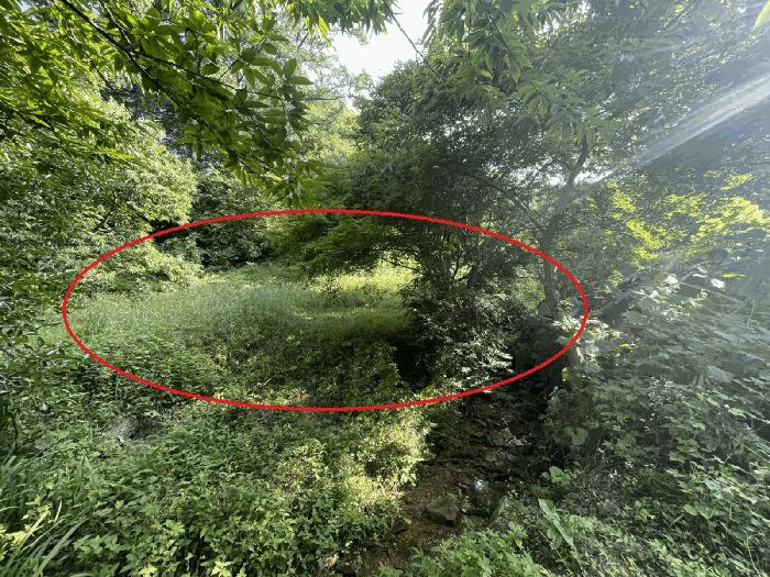 세종 장군면 대지