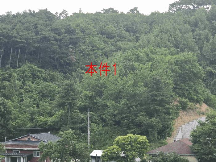강원특별자치도 원주시 소초면 흥양리 414-2 임야 경매 사진 2