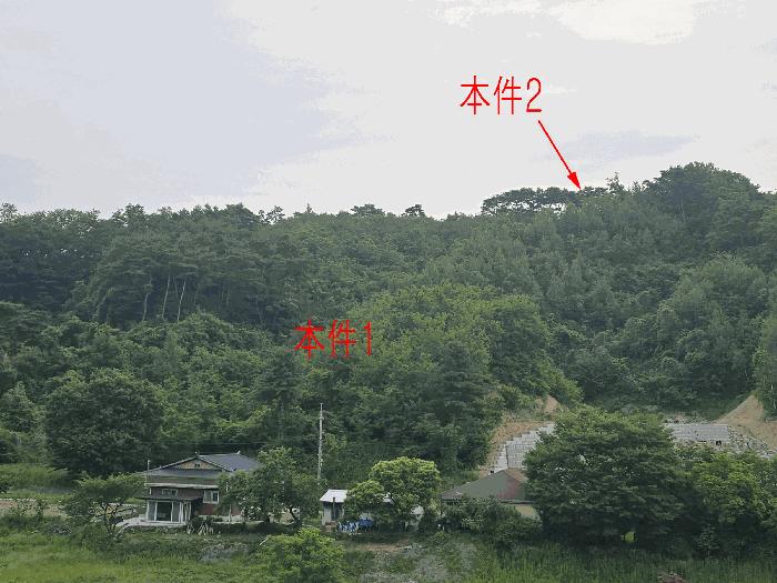 강원특별자치도 원주시 소초면 흥양리 414-2 임야 경매 사진 6