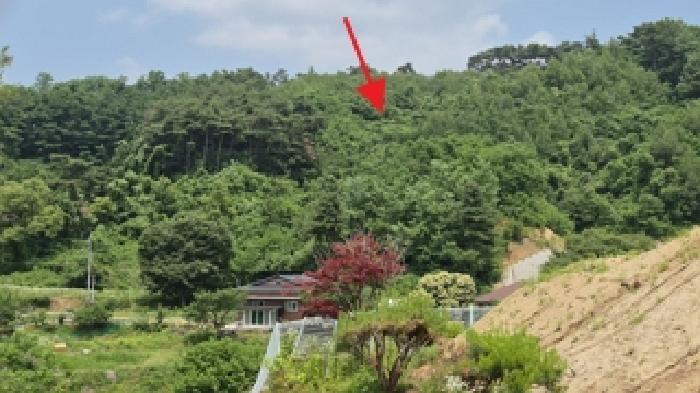 강원특별자치도 원주시 소초면 흥양리 414-2 임야 경매 사진 8