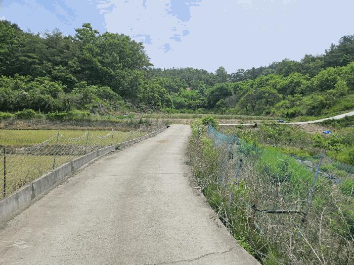 경상북도 영천시 임고면 매호리 21 전 경매 사진 2