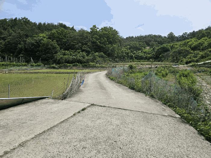 경상북도 영천시 임고면 매호리 21 전 경매 사진 8