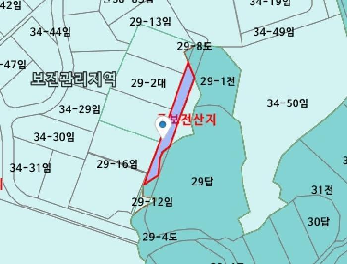세종특별자치시 장군면 봉안리 29-20 도로 경매 사진 26