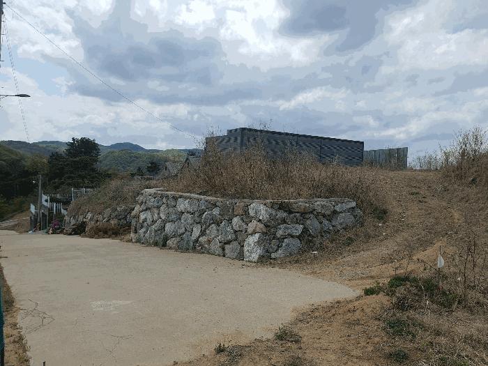 세종특별자치시 장군면 봉안리 29-20 도로 경매 사진 4