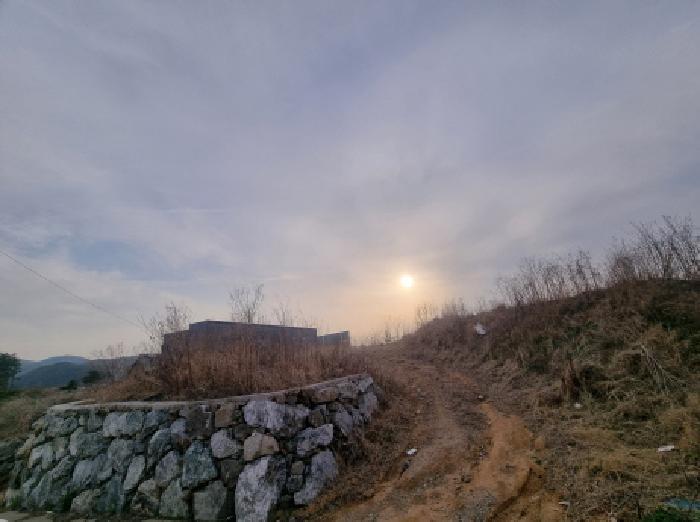 세종특별자치시 장군면 봉안리 29-20 도로 경매 사진 7