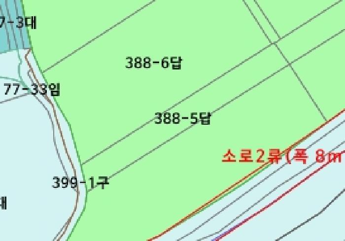 세종특별자치시 전동면 보덕리 388-5 답 경매 사진 13